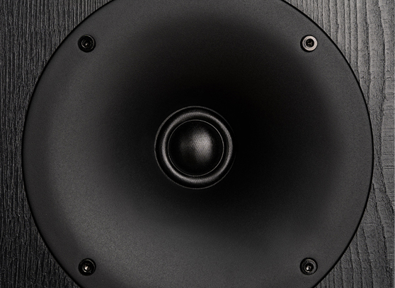 Wilson Studio 7 - cecha 1